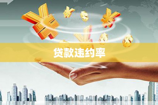 东安贷款违约率