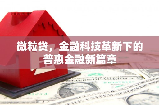 东安微粒贷，金融科技革新下的普惠金融新篇章