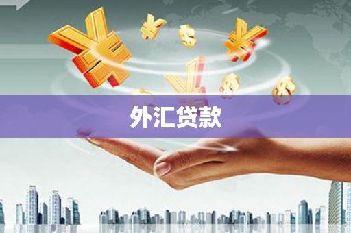东安外汇贷款