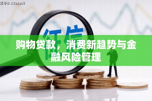 东安购物贷款，消费新趋势与金融风险管理