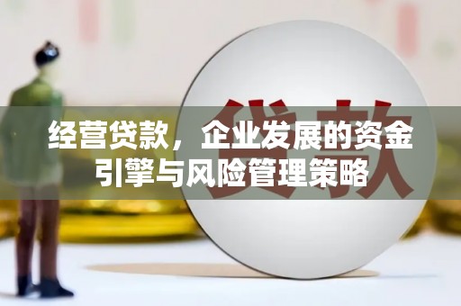 东安经营贷款，企业发展的资金引擎与风险管理策略