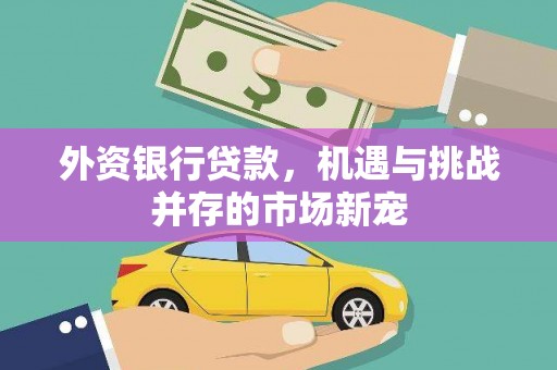 东安外资银行贷款，机遇与挑战并存的市场新宠