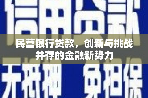 东安民营银行贷款，创新与挑战并存的金融新势力