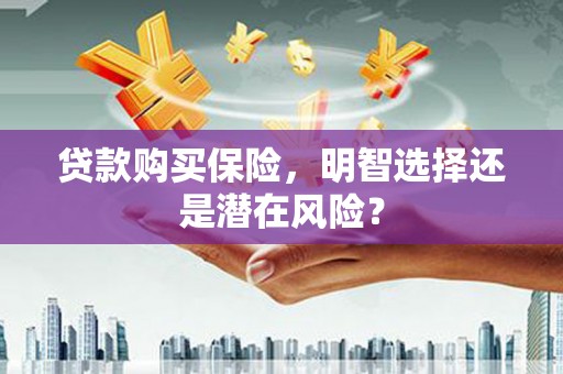 东安贷款购买保险，明智选择还是潜在风险？