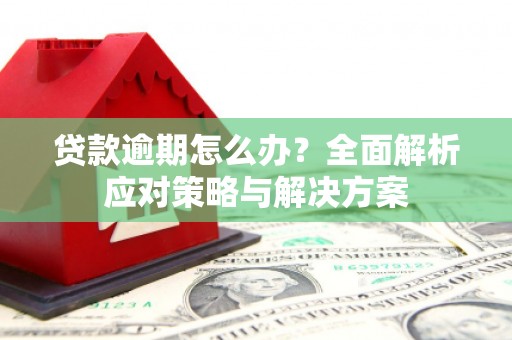 东安贷款逾期怎么办？全面解析应对策略与解决方案