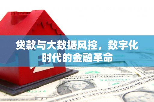 东安贷款与大数据风控，数字化时代的金融革命