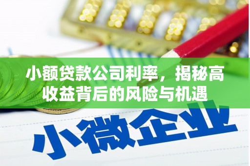 东安小额贷款公司利率，揭秘高收益背后的风险与机遇