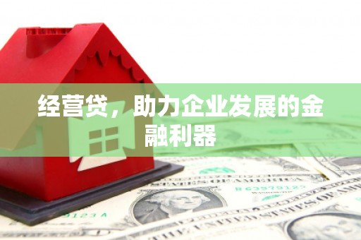 东安经营贷，助力企业发展的金融利器