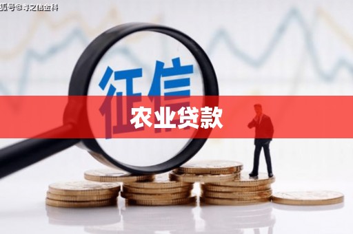 东安农业贷款