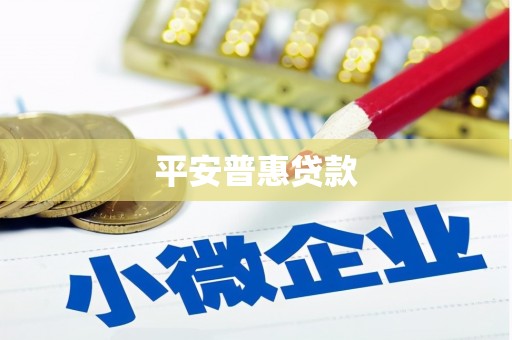 东安平安普惠贷款