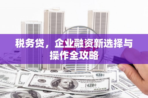 东安税务贷，企业融资新选择与操作全攻略
