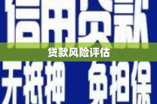 东安贷款风险评估