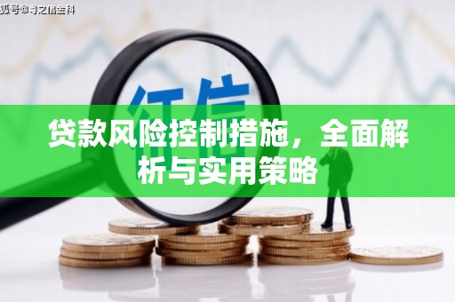 东安贷款风险控制措施，全面解析与实用策略