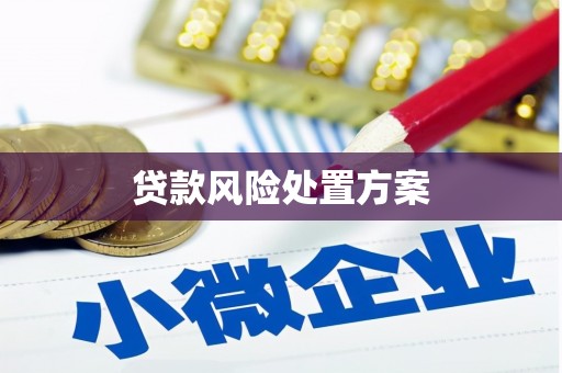东安贷款风险处置方案