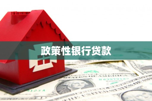 东安政策性银行贷款