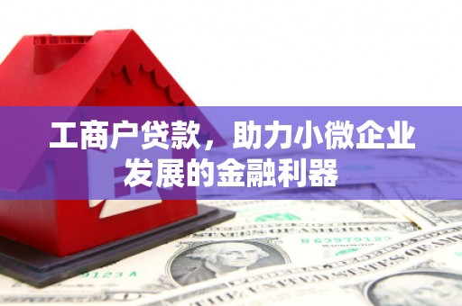东安工商户贷款，助力小微企业发展的金融利器