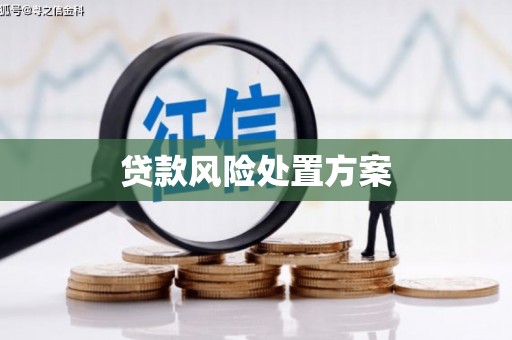 东安贷款风险处置方案