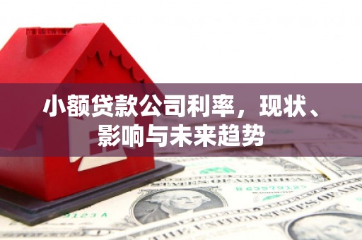 东安小额贷款公司利率，现状、影响与未来趋势