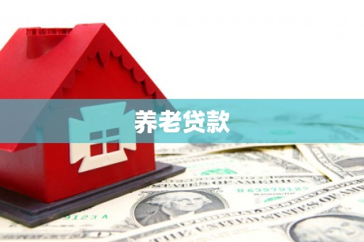 东安养老贷款
