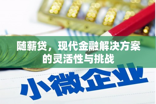 东安随薪贷，现代金融解决方案的灵活性与挑战