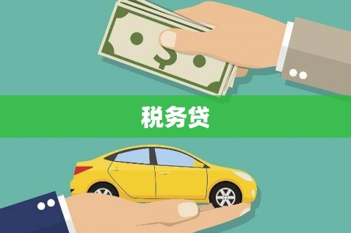 东安税务贷