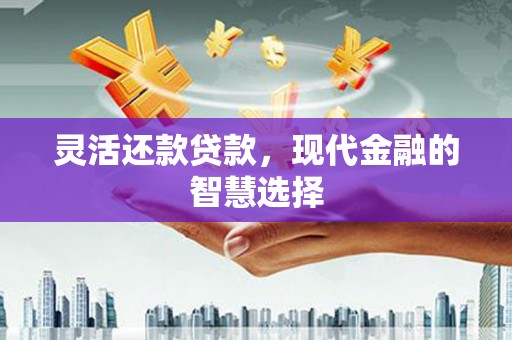 东安灵活还款贷款，现代金融的智慧选择