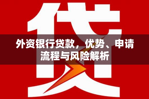 东安外资银行贷款，优势、申请流程与风险解析