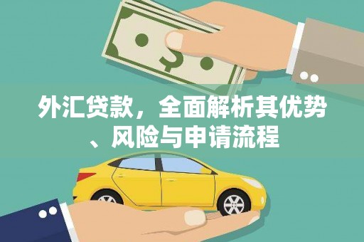 东安外汇贷款，全面解析其优势、风险与申请流程
