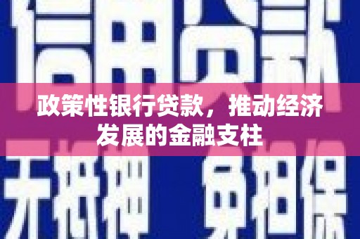 东安政策性银行贷款，推动经济发展的金融支柱