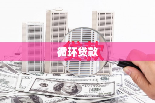 东安循环贷款