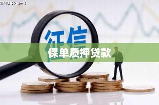 东安保单质押贷款