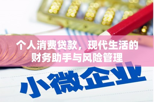 东安个人消费贷款，现代生活的财务助手与风险管理