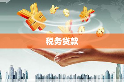 东安税务贷款