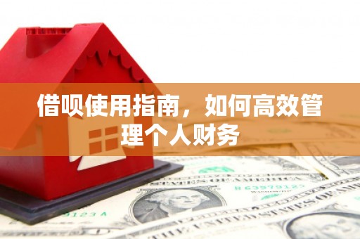 东安借呗使用指南，如何高效管理个人财务