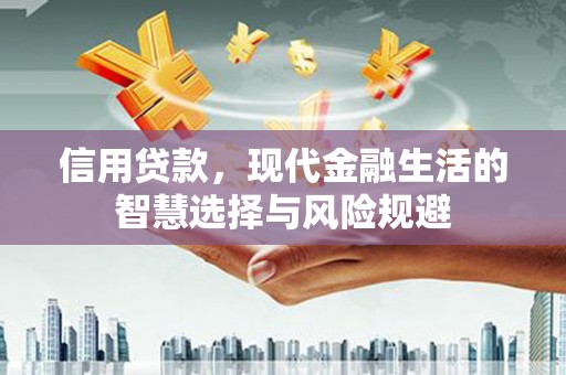 东安信用贷款，现代金融生活的智慧选择与风险规避