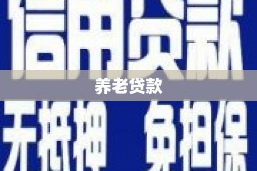 东安养老贷款