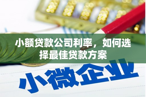 东安小额贷款公司利率，如何选择最佳贷款方案