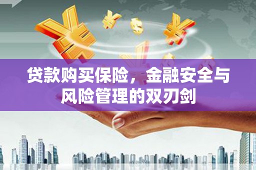 东安贷款购买保险，金融安全与风险管理的双刃剑