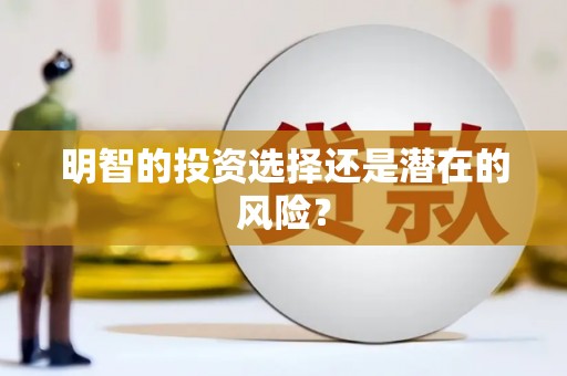 东安明智的投资选择还是潜在的风险？