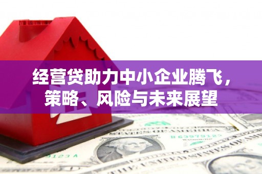 东安经营贷助力中小企业腾飞，策略、风险与未来展望