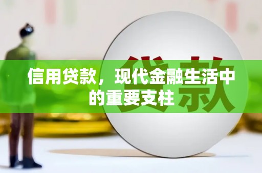东安信用贷款，现代金融生活中的重要支柱