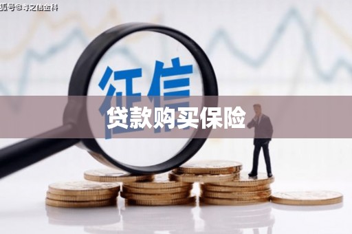 东安贷款购买保险