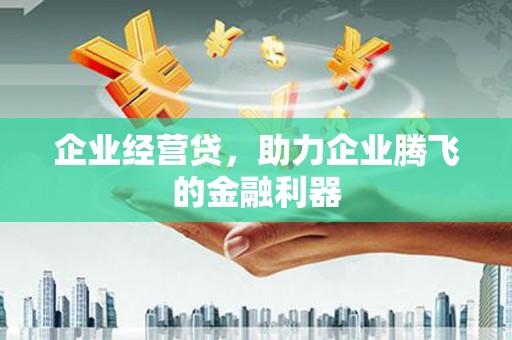 东安企业经营贷，助力企业腾飞的金融利器