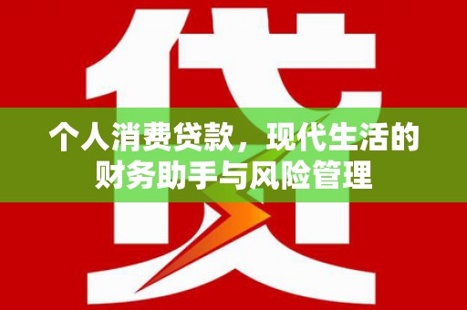 东安个人消费贷款，现代生活的财务助手与风险管理