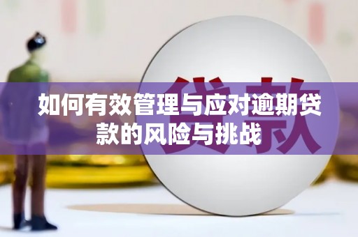 东安如何有效管理与应对逾期贷款的风险与挑战