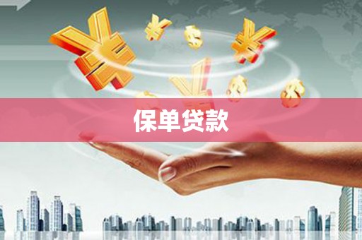 东安保单贷款