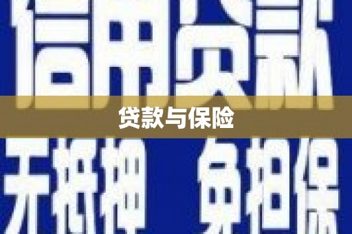 东安贷款与保险