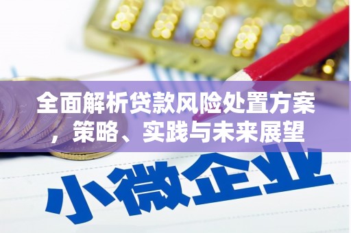 东安全面解析贷款风险处置方案，策略、实践与未来展望