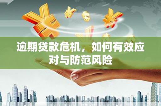 东安逾期贷款危机，如何有效应对与防范风险