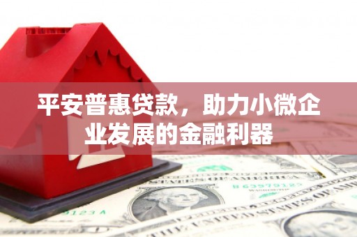 东安平安普惠贷款，助力小微企业发展的金融利器